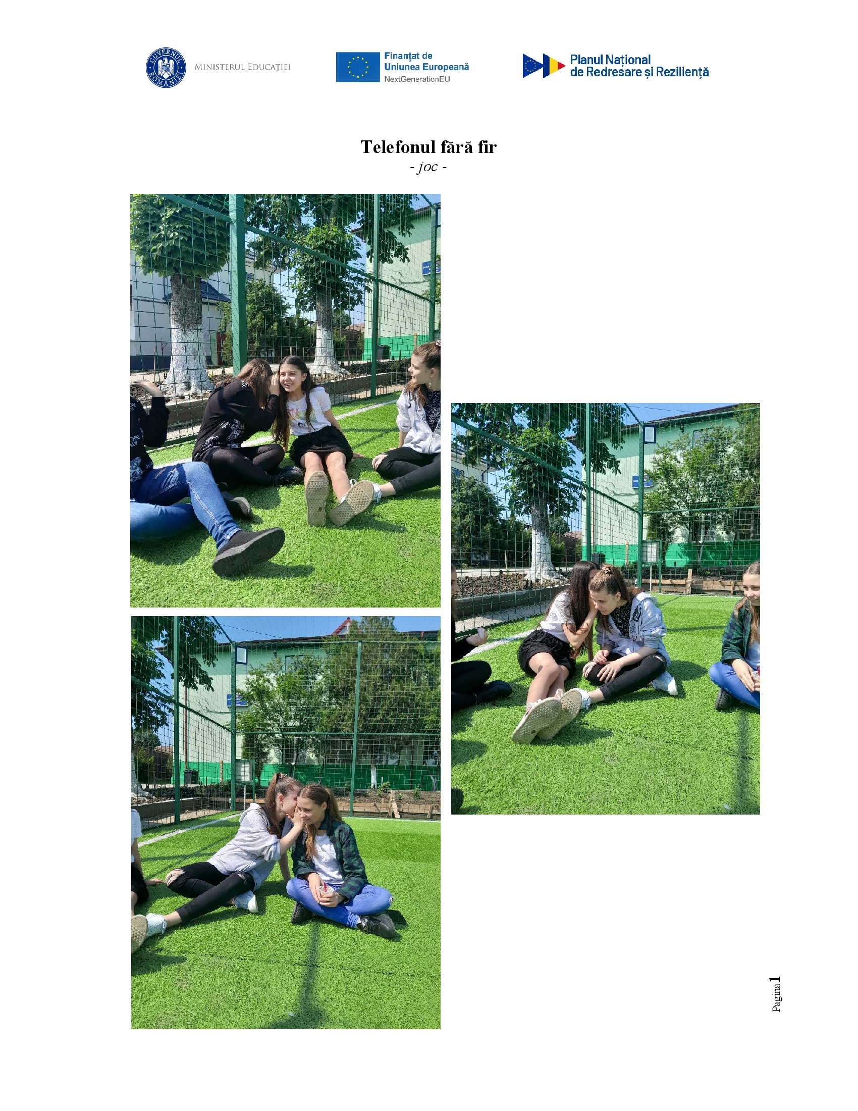 Activitate - Telefonul fara fir